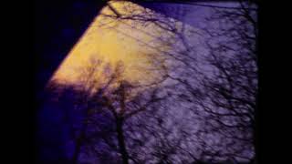 Comaneci – Cocoon (Official Video)