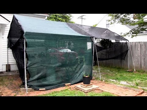 How I grow my orchids outside • May 2018