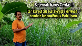 Download lagu Farming must be smart! Grass can be used to pay employees, expand land, and even get a new car as... mp3 Download lagu Farming must be smart! Grass can be used to pay employees, expand land, and even get a new car as... mp3