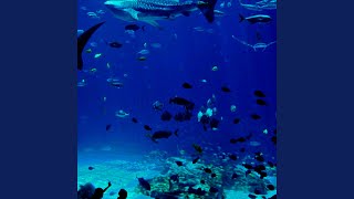 Aquatron Meets the Sea Pygmies / Blue Whale Death Chant