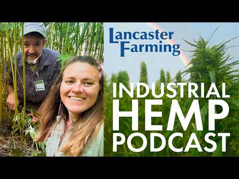 Від поля до мистецтва: як конопляне волокно переосмислюють у сучасній культурі