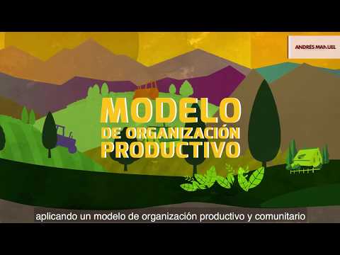 Sembrando Vida: el proyecto de reforestación de AMLO