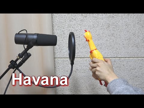 Camila Cabello - Havana 'Chicken Cover'