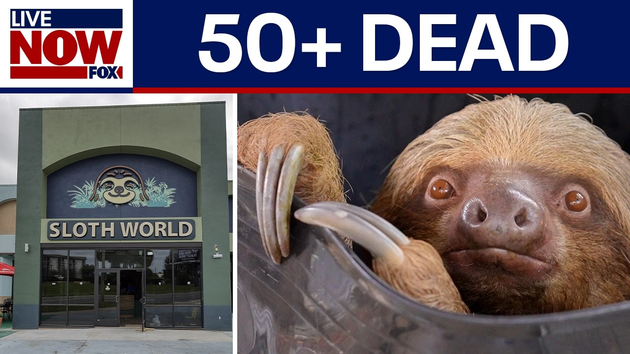 Sloth World update: 50+ dead in Orlando