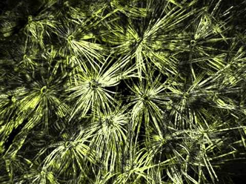 KubikSahara - Pulsation (psychedelic song) (DARK/HEADPHONES!)