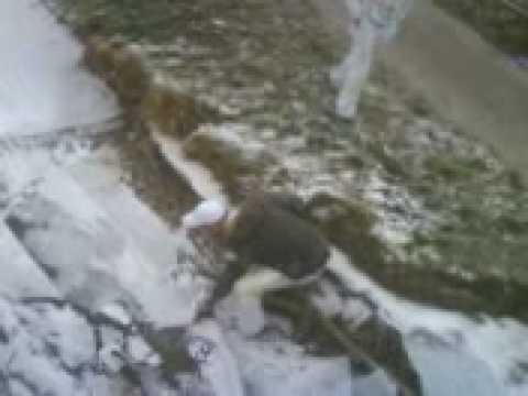 Steina beim Eislaufen