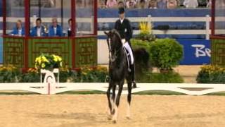 Disparition de Blue Hors Don Schufro/Blue Hors Don Schufro passed away