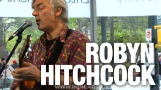Robyn Hitchcock & the Venus 3 "Trains" | indieATL session