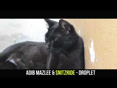 Adib Mazlee & Snitzride  - Droplet