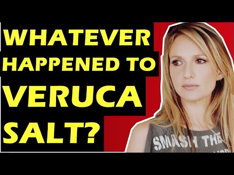 Veruca Salt  Whatever Happened To The Band Behind Seether, Volcano Girls, Louise Post & Nina Gordon