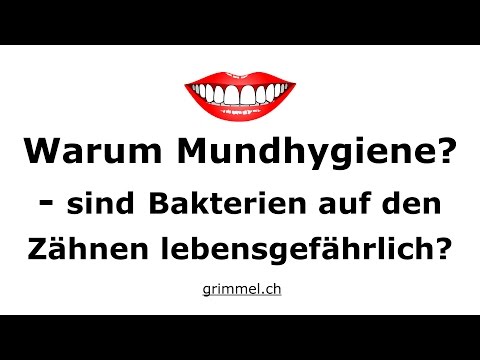 Warum Mundhygiene? Dr. Grimmel erklärt Zahnmedizin