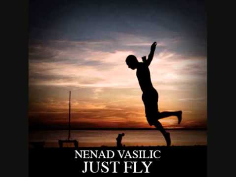 Nenad Vasilic -Veselenje