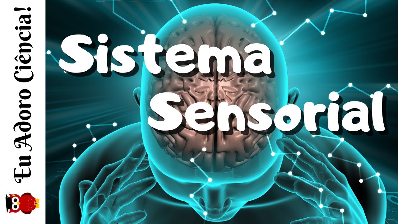 Sistema Sensorial