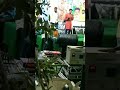 Devullu Movie Song