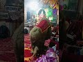 Sher Mata Ki Jhanki Dekho Bhai Kitni Sundar Hai Youtube Jhanki Jagran Views Shorts Viral