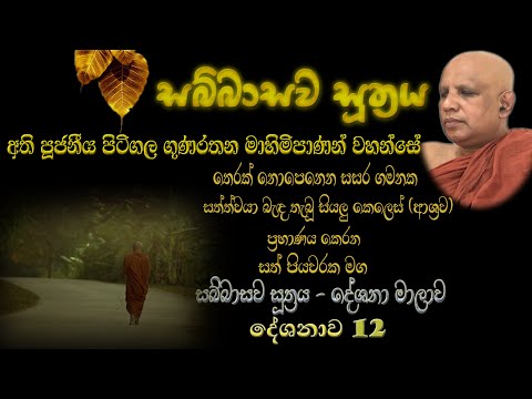 Sabbasawa Sutta 12 - සබ්බාසව සූත්‍ර දේශනා මාලාව 12 - අති පූජනීය පිටිගල ගුණරතන මාහිමිපාණන් වහන්සේ
