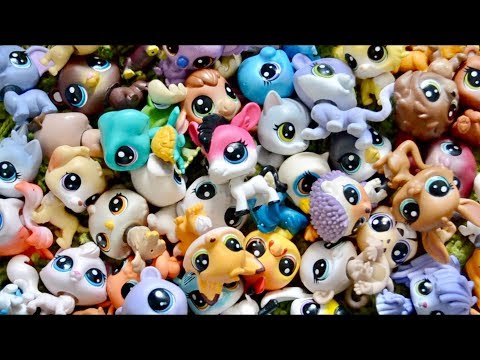 My G5 & G6 Littlest Pet Shop Collection!