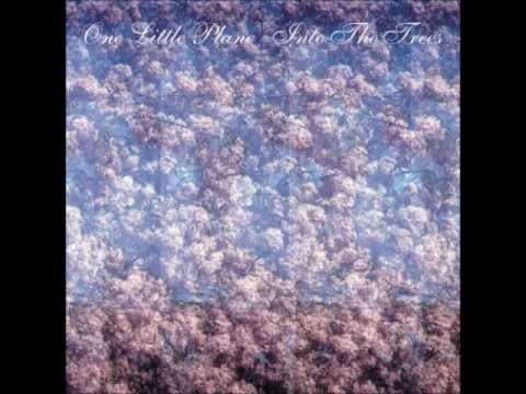 One Little Plane - Hold you down