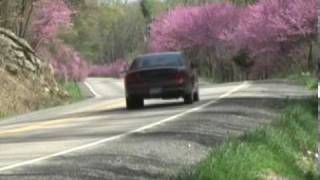 preview picture of video 'Redbud Trees on Rt. 50 a National Treasure'
