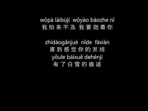 至少还有你-林忆莲 zhi shao hai you ni