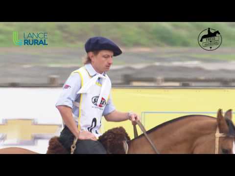 Freio do Proprietário (Amador A) - Andaduras, Figura, VSP e Esbarradas