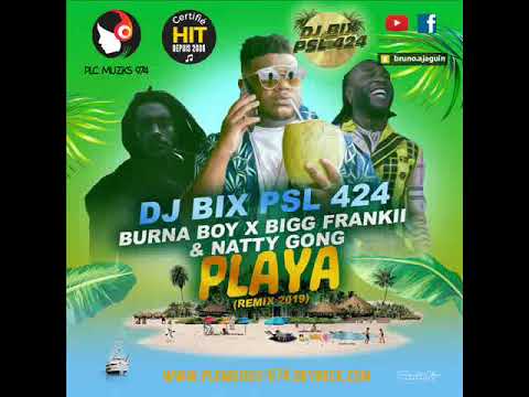 DJ BIX PSL 424 Ft. BURNA BOY, BIGG FRANKII & NATTY GONG - PLAYA (REMIX 2019)