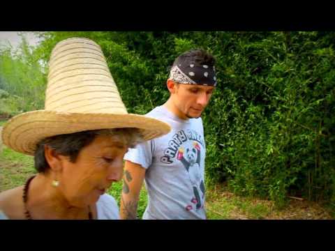 Este si es un Camino Real, ¡Real!