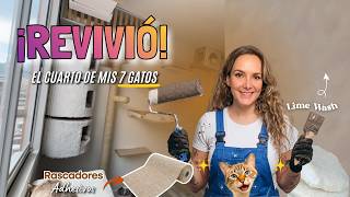 REMODELÉ el CUARTO de mis 7 GATOS + 3 Mitos que SIEMPRE te han ENGAÑADO sobre vivir con Gatos