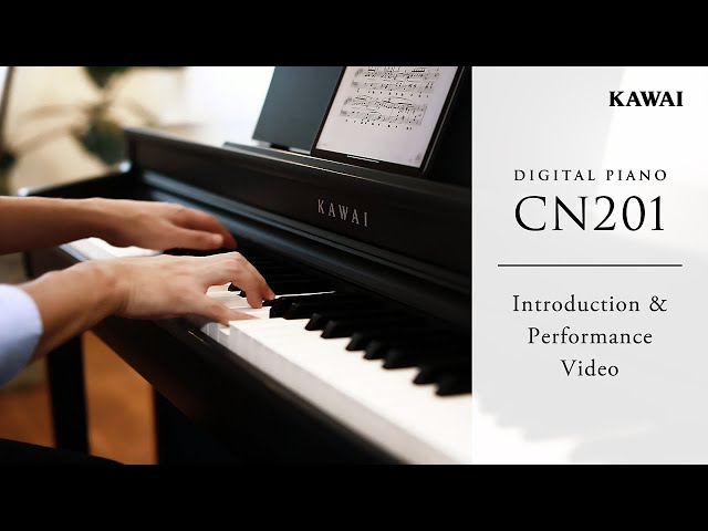 Цифровое пианино Kawai CN201 W - белый купить в Москве и СПБ по цене ...