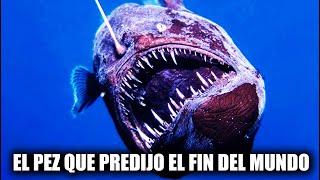 La VERDAD del PEZ DIABLO NEGRO que PREDIJO el FIN DEL MUNDO!