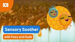Soothing honey dripping for children's sleep and relaxation 🫧 | Fizzy & Suds | ABC Kids