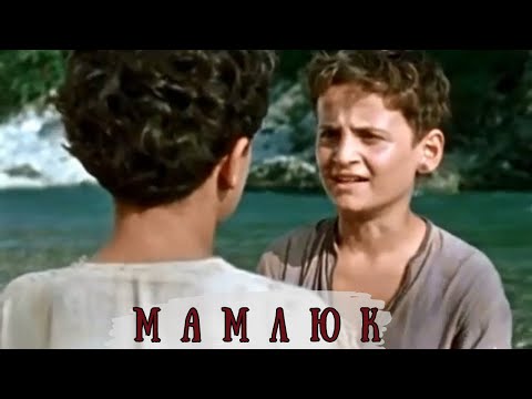 Трейлеры Мамлюк