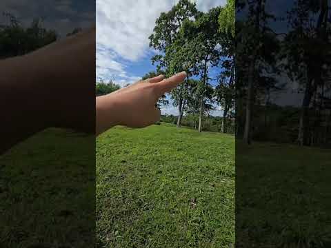 LOTE TERRASOL 83 ALCALA