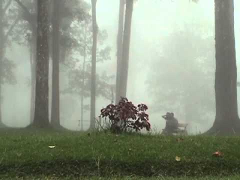 Voodoo Transmission - Crazy Jane - Exist Dance