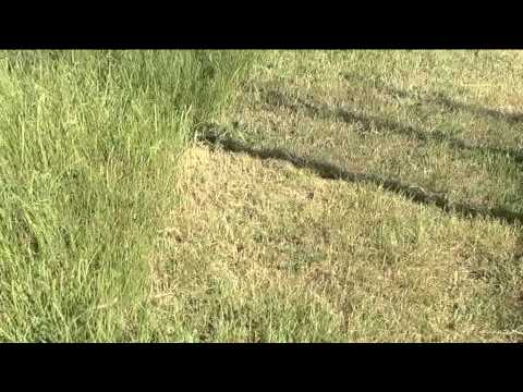 ONDA TG 29.05.2015 - CAMPO MEZZETTI IN PESSIME CONDIZIONI