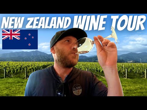 The Most EPIC WINE TOUR in MARLBORUGH! 🇳🇿(20+ Glasses in 1 Day??) New Zealand Travel Vlog 2023