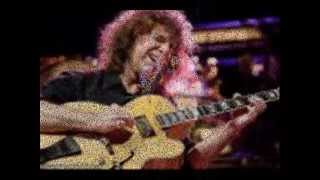 Pat Metheny Guitarist Genius