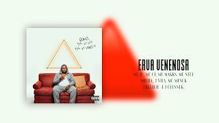 Erva Venenosa Lyrics English Translation