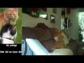 Just Passing Time - Dwight Yoakam [Murphy's Song] HD