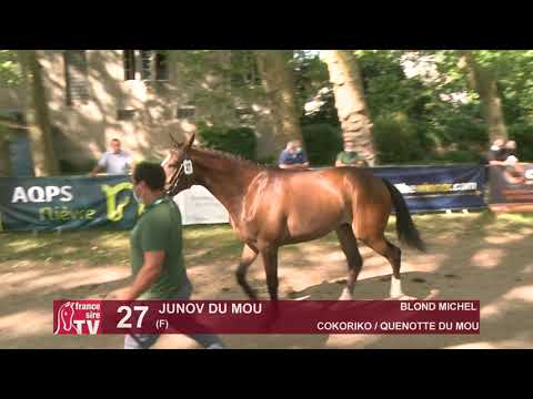 Sprinter Sacré Show 2021 : Lot 27 - Junov Du Mou