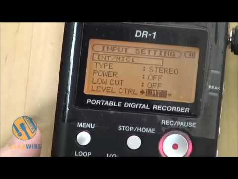Tascam DR-1 Field Recorder Field Test Without The Field