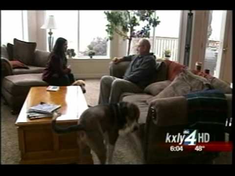 Pullman Hit With Hundreds Of Credit Fraud Cases