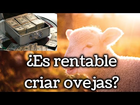 , title : '¿Es Rentable la Ganadería de Ovejas?'