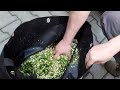 AL-KO 113871 - видео