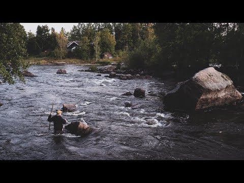 Kuulumisia Kymijoelta #5 | "Se meni suvantoon"