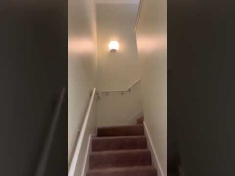 Belmont Loft | 1 bed 1 bath + loft | 917 Sq. Ft.