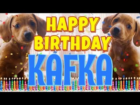 Happy Birthday Kafka! ( Funny Talking Dogs ) What Is Free On My Birthday