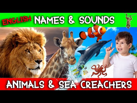 ANIMAL NAMES AND SOUNDS for Kids Video Compilation - Learn Animal Names for Children & Toddlers