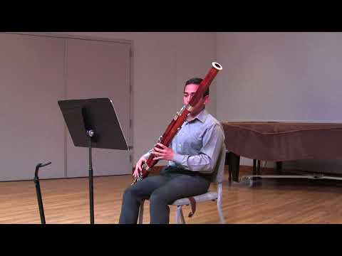 Diego Hammond   Mozart Bassoon Concerto in B flat major, K  191