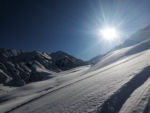 LE CHEVAL NOIR 2832m